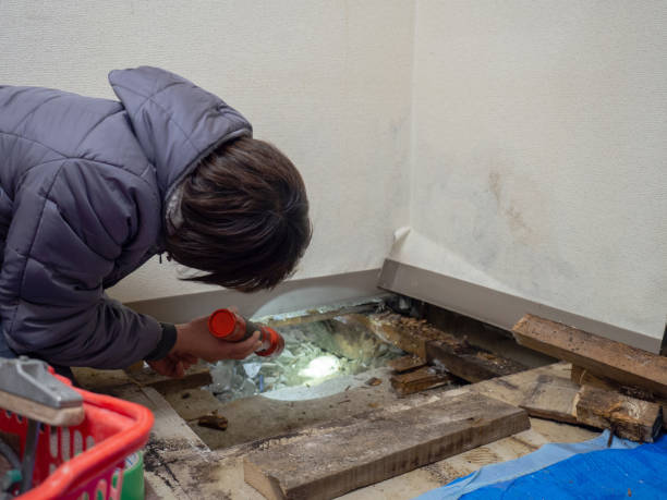 Best Air Quality Testing for Mold Spores  in Treasure Island, FL