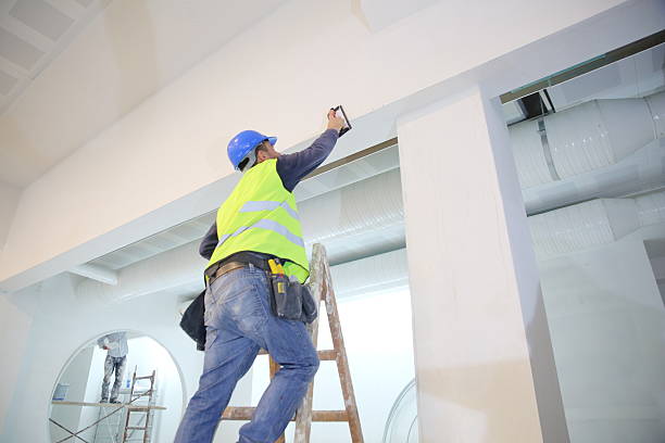 Professional Mold Removal in Treasure Island, FL